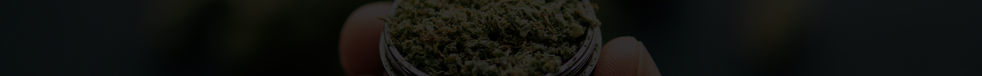 contact-banner